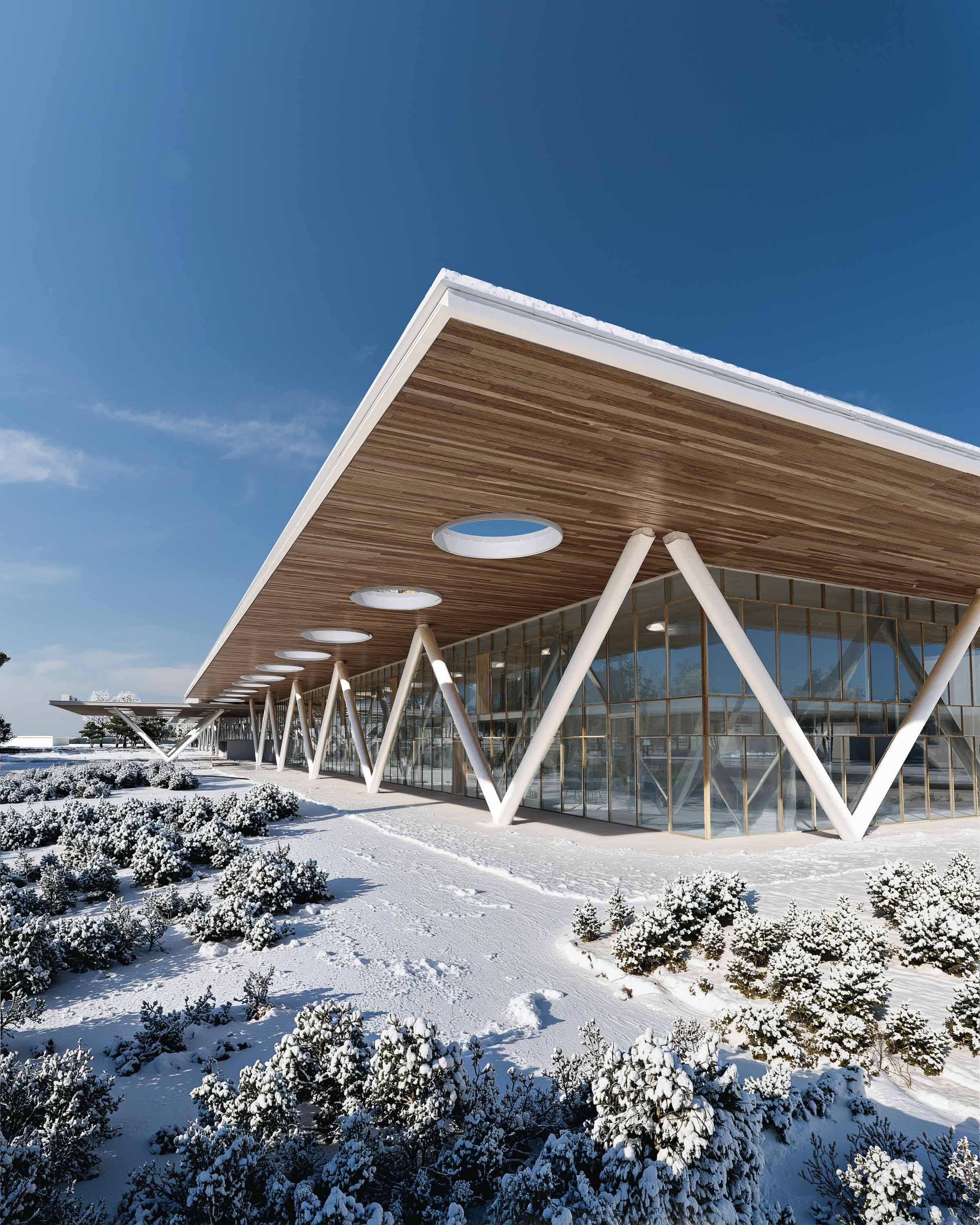 GRAPH_Pinearq_Santobono Hospital_02